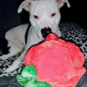 Meet your Posher, Beverly